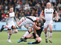 Leicester Tiger's Harry Wells is tackled by Newcastle Falcon's Michael Young   during the Gallagher Premiership match between Newcastle Falc...