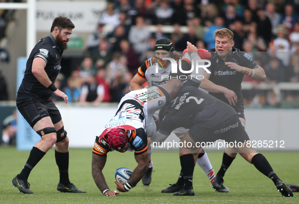  Newcastle Falcon's George McGuigan  tackles Leicester Tiger's Nemani Nadolo during the Gallagher Premiership match between Newcastle Falcon...