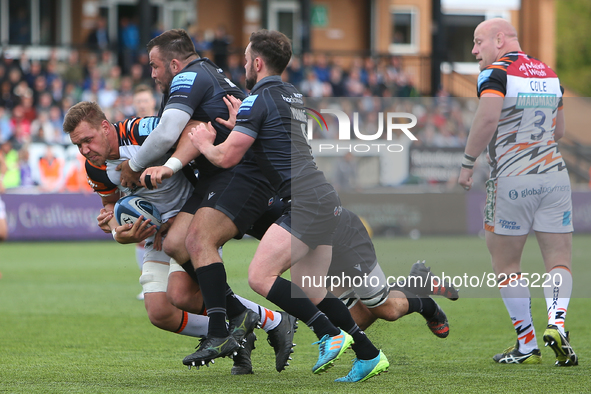  Leicester Tiger's Hanro Liebenberg  is tackled by Newcastle Falcon's George McGuigan  during the Gallagher Premiership match between Newcas...