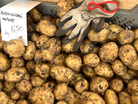 Potatoes are seen on a stand in Krakow, Poland on May 24, 2022. (