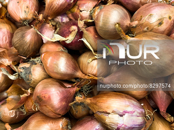 Onions are seen in a supermarket in Krakow, Poland on May 24, 2022. (