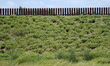 A short section of the Border Wall, sometimes called the "Trump Wall"  has been built on a...