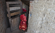Kumari Diya is stepping into her house. Bungamati, Nepal, 2014 