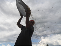 Farmers clean their harvested rice using wind gusts in Sigi Regency, Central Sulawesi Province, Indonesia, June 1, 2022. The Indonesian gove...