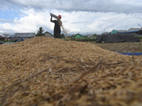 Farmers clean their harvested rice using wind gusts in Sigi Regency, Central Sulawesi Province, Indonesia, June 1, 2022. The Indonesian gove...