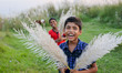 Oct 09, 2015 - Dhaka, Bangladesh - Boys are having fun with catkin flowers in the afternoo...
