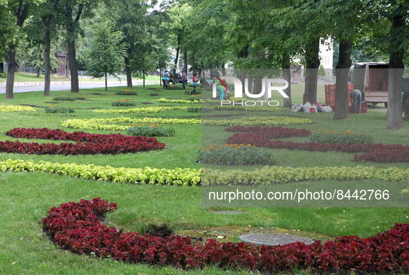KHARKIV, UKRAINE - JUNE 23, 2022 - Flowers planted by employees of the Zelenbud communal enterprise, Kharkiv, northern Ukraine. This photo c...
