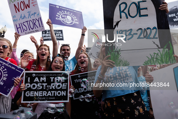 Anti-abortion activists celebrate after the Supreme Court issued its opinion on Dobbs v. JWHO.  The opinion reverses the federal right to ab...