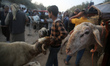Palestinians sell sheep at a livestock market, ahead of Eid al-Adha, in Deir al-Balah, in...