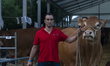 A participant takes his cow to the auction of Limousine breed cows, an activity that takes...