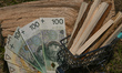 An illustrative image of firewood seen next to Polish Zloty banknotes.On Wednesday, July...