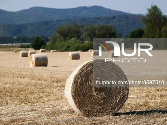 Hay sheaves are seen on a field in Slovakia on July 28, 2022. (