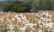 A combine harvester is seen in a field in Sulkowice, Poland on August 4, 2022. 