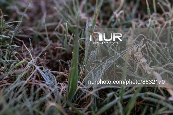 The dew on the grass froze into ice at the Setiaku temple area in Banjarnegara, Central Java province, Indonesia, on August 6, 2022. 