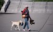 Man with roller skates and dog with helmet in Warsaw, Poland on May 29, 2020 