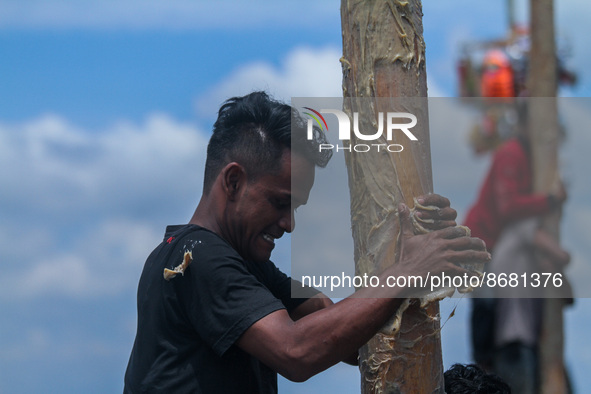 Participants struggle to climb a greasy pole to claim prizes in the "Panjat Pinang" race during the celebration of Indonesia's 77th Independ...
