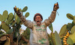 A worker picks prickly pears on August 24, 2022 in the Qalyubia Governorate, Egypt. The se...
