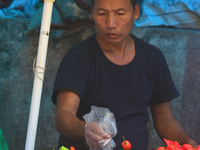 A vendor sort Naga King Chilli as he sales them at a daily market in Dimapur, India north eastern state of Nagaland on Wednesday, 31 August...