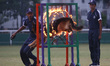 Sri Lanka Police officers and their dogs a presentation is made at the 156th Sri Lanka Pol...