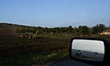 People work on the field near the bulgarian village of Varnik on October 18, 2015 