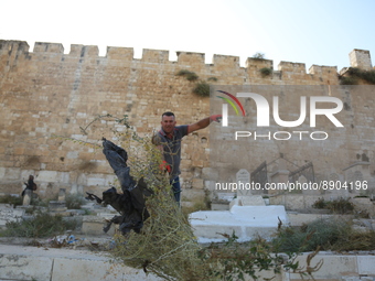 In response to the settlers' incursions and violations in the Bab al-Rahma cemetery, which is adjacent to the eastern wall of Al-Aqsa Mosque... by Saeed Qaq/NurPhoto