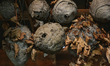 Paper wasp and hornets nests displayed in Woodbridge, Ontario, Canada, on October 08, 2022...