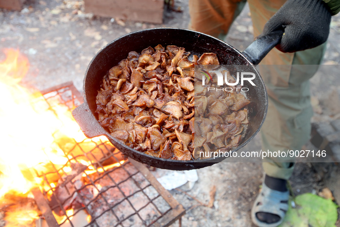 AFU artillery in Kharkiv Region