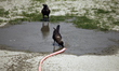 Craws are drinking water during hot weather in Dhaka.People in the capital experienced th...