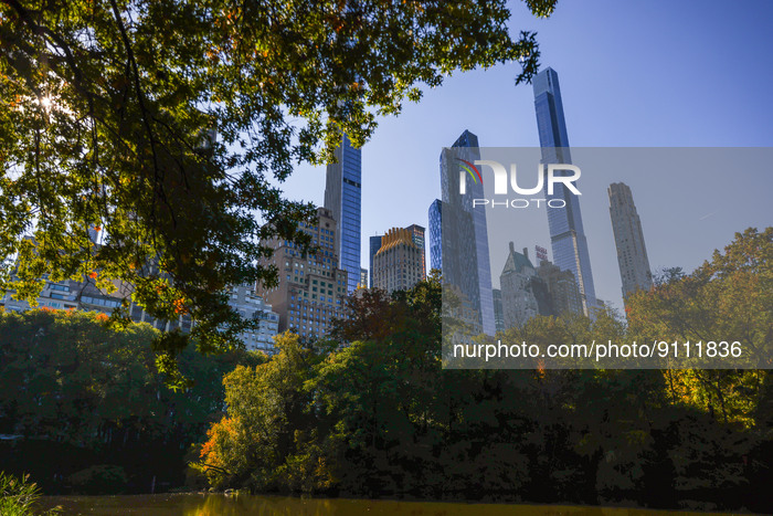 Fall In Central Park, New York