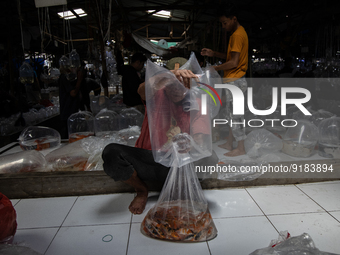 A vendor fills the air into the plastic for fish at Parung ornamental fish market in Bogor of West Java province on 12 November 2022. Parung...