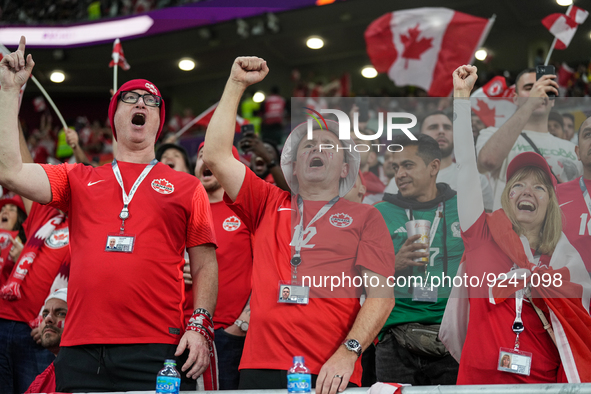 Fans of Canada team during FIFA World Cup Qatar 2022  Group F football match between Belgium and Canada at the Ahmad Bin Ali Stadium in Al-R...