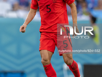 Wooyoung Jung  during the World Cup match between Spain v Costa Rica, in Doha, Qatar, on November 23, 2022. (