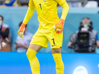 Seunggyu Kim  during the World Cup match between Spain v Costa Rica, in Doha, Qatar, on November 23, 2022. (