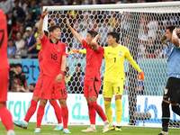 Hwang Ui-Jo of South Korea, Goalkeeper of South Korea Kim Seung-Gyu during the FIFA World Cup 2022, Group H football match between Uruguay a...