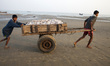 In Bangladesh about 7.3 million people live in the coastal fishing villages whose lead the...