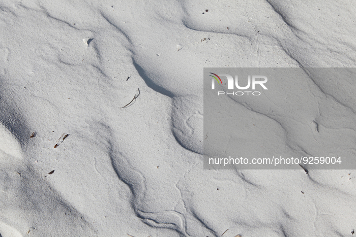 Daily Life In Florida, USA