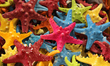 Colorful painted starfish at a souvenir shop on Marco Island, Florida, USA. 