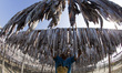 In Bangladesh about 7.3 million people live in the coastal fishing villages whose lead the...