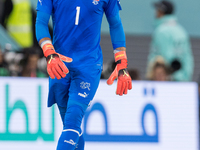Yann Sommer  during the World Cup match between Brasil vs Switzerland, in Doha, Qatar, on November 28, 2022. (