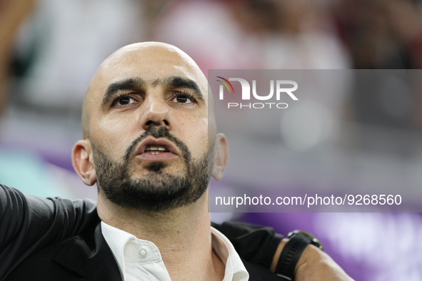 Walid Regragui head coach of Morocco during the FIFA World Cup Qatar 2022 Group F match between Canada and Morocco at Al Thumama Stadium on...