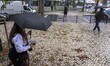 People using umbrellas are seen walking the streets of the Oriente area. Lisbon, December...