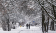 Snowfall in the city as Arctic blast heads for Europe. Krakow, Poland on December 11, 2022...