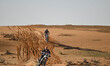 96 ARGUBRIGHT Jacob (usa), Duust Rally Team, Husqvarna, Moto, action during the Stage 5 of...
