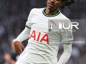 Tottenham Hotspur's Djed Spence during the FA Cup Third Round soccer match between Tottenham Hotspur and Portsmouth at Tottenham Hotspur Sta... by Action Foto Sport/NurPhoto