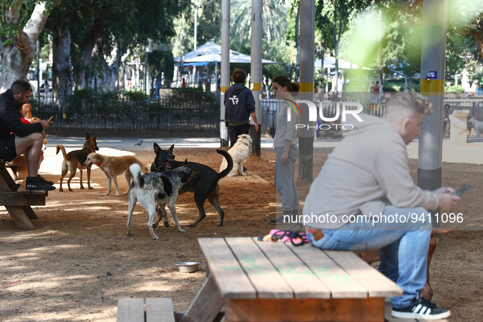 Daily Life In Tel Aviv