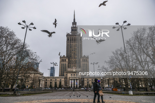 Seagulls flying near the Palace of Culture and Science (PKiN) in Warsaw, Poland on January 19, 2023. The building, designed by Soviet-Russia...