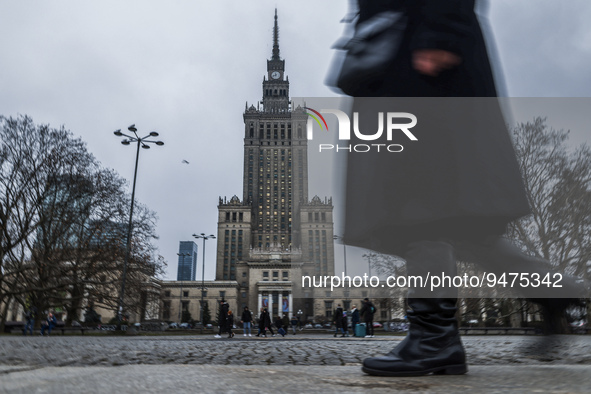 The Palace of Culture and Science in Warsaw, Poland on January 19, 2023. Seagulls flying near the Palace of Culture and Science (PKiN) in Wa...