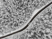 A wood and a bus on the road are seen in an aerial drone view after a snowfall in L'Aquila, Italy, on January 23, 2023. Central Italy is inv...
