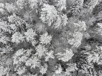 A wood is seen in an aerial drone view after a snowfall in L'Aquila, Italy, on January 23, 2023. Central Italy is involved in a bad weather...