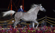 Arabian Fillies two-year old Talia Al Jaham, owned by Al Jaham Stud Section A (Class 2A) i...